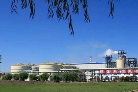 『隨華全，觀天下』 ——走進綏化