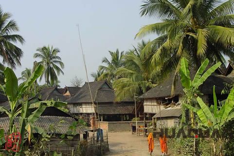 『隨華全，觀天下』 ——走進(jìn)勐海