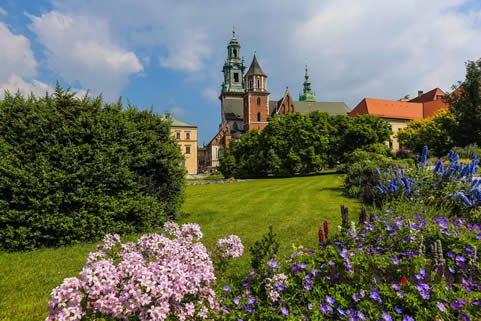 鼓浪嶼申遺進入 后沖刺 華全發電機組傾情關注
