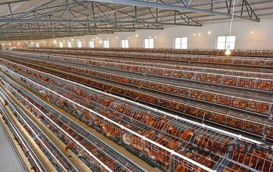 迎風而上冒雨前行，華全發電機組用實際行動助力南京抵御臺風侵襲